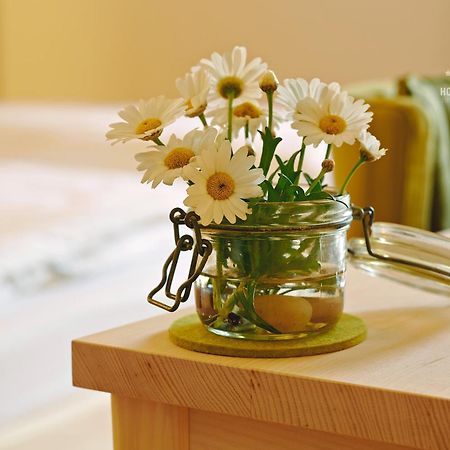 Hotel B&B "Zur Schanz" Ebbs Eksteriør billede